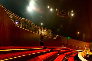 Ramshorn Theatre venue picture